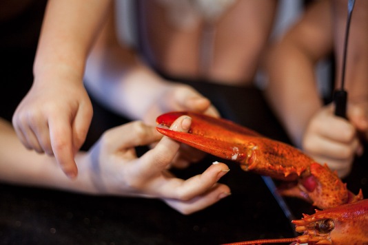 East Coast Tradition | Gordon Green Lobster Chowder | Sally-Ann Taylor, Photographer